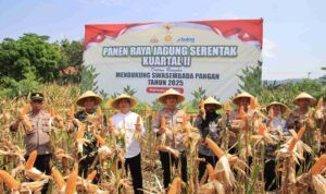 IMG-20250605-WA0067(1)