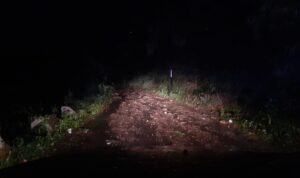 IMG-20250608-WA0014
