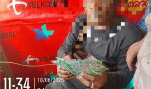 IMG_20250619_111504(2)