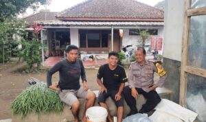 IMG-20250709-WA0124