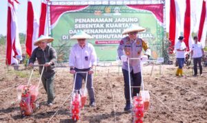 IMG-20250709-WA0150