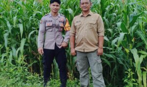 IMG-20250722-WA0056