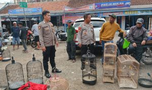 IMG-20250724-WA0077