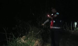 IMG-20250727-WA0043