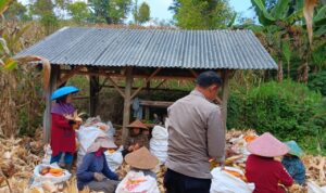 IMG-20250727-WA0055