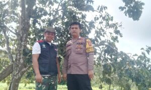 IMG-20250805-WA0058