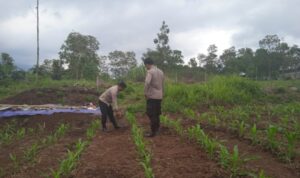 IMG-20250822-WA0037
