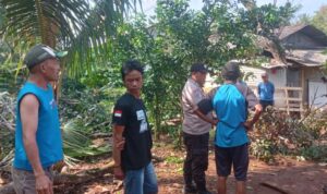 IMG-20250824-WA0033