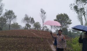 IMG-20250828-WA0056