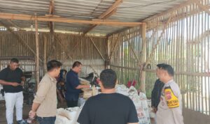 IMG-20251005-WA0029