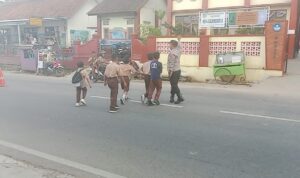 IMG-20251011-WA0061
