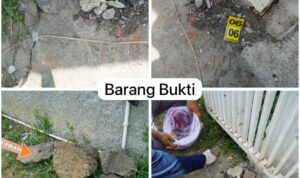 IMG-20251012-WA0046