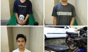 PhotoGrid_Site_1771690233219