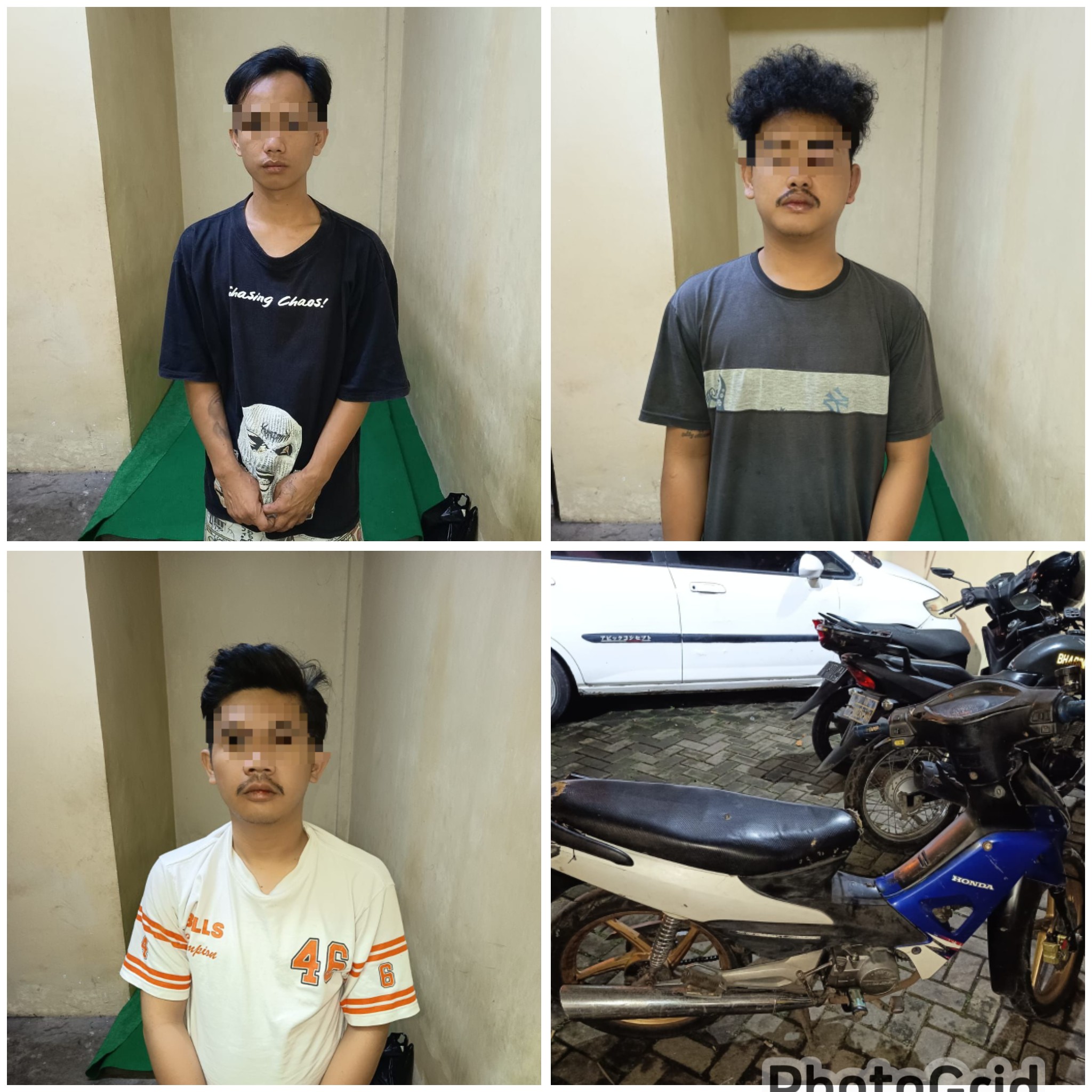 PhotoGrid_Site_1771690233219