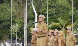 Screenshot_20260209_120041_WhatsApp