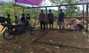 IMG-20260527-WA0095