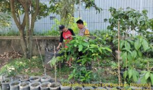 IMG-20260613-WA0107