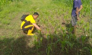 IMG-20260614-WA0092