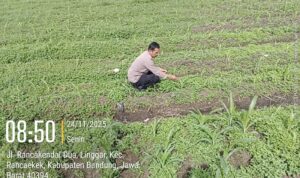 IMG-20260614-WA0096