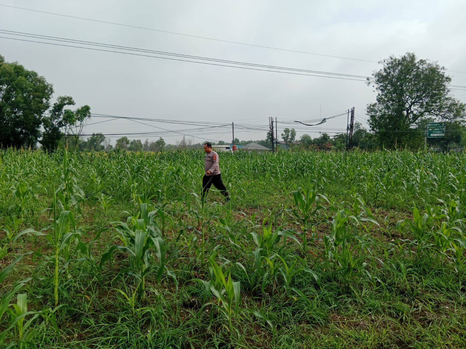 IMG-20260616-WA0006