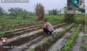IMG-20260618-WA0034