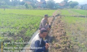 IMG-20260620-WA0063