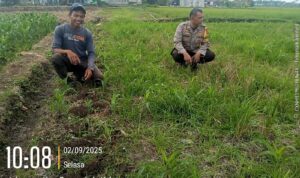IMG-20260620-WA0081
