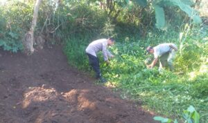 IMG-20260621-WA0053