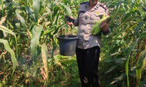 IMG-20260623-WA0033