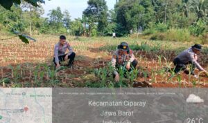 IMG-20260623-WA0036