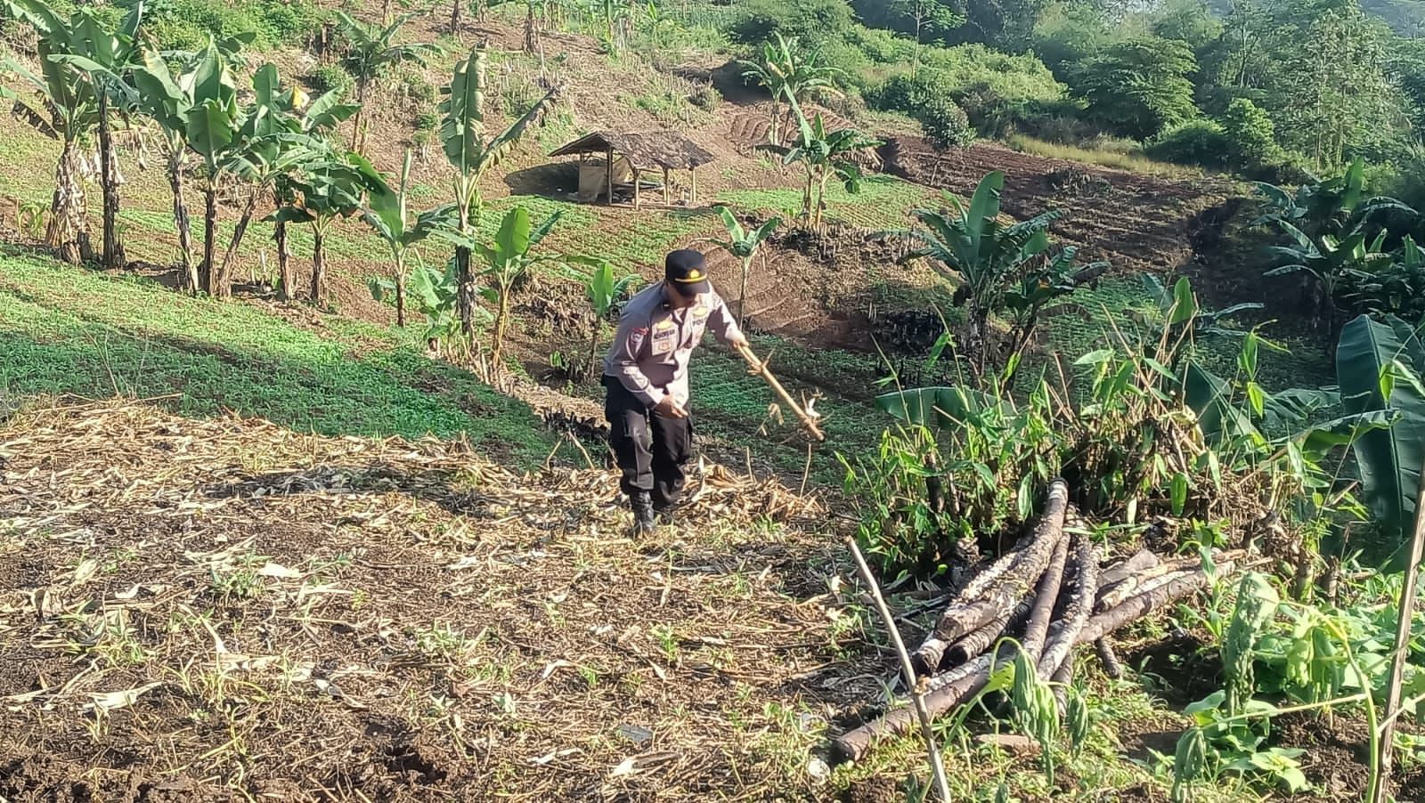 IMG-20260624-WA0028