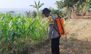 IMG-20260624-WA0048