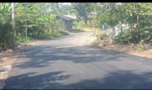 IMG-20260712-WA0046