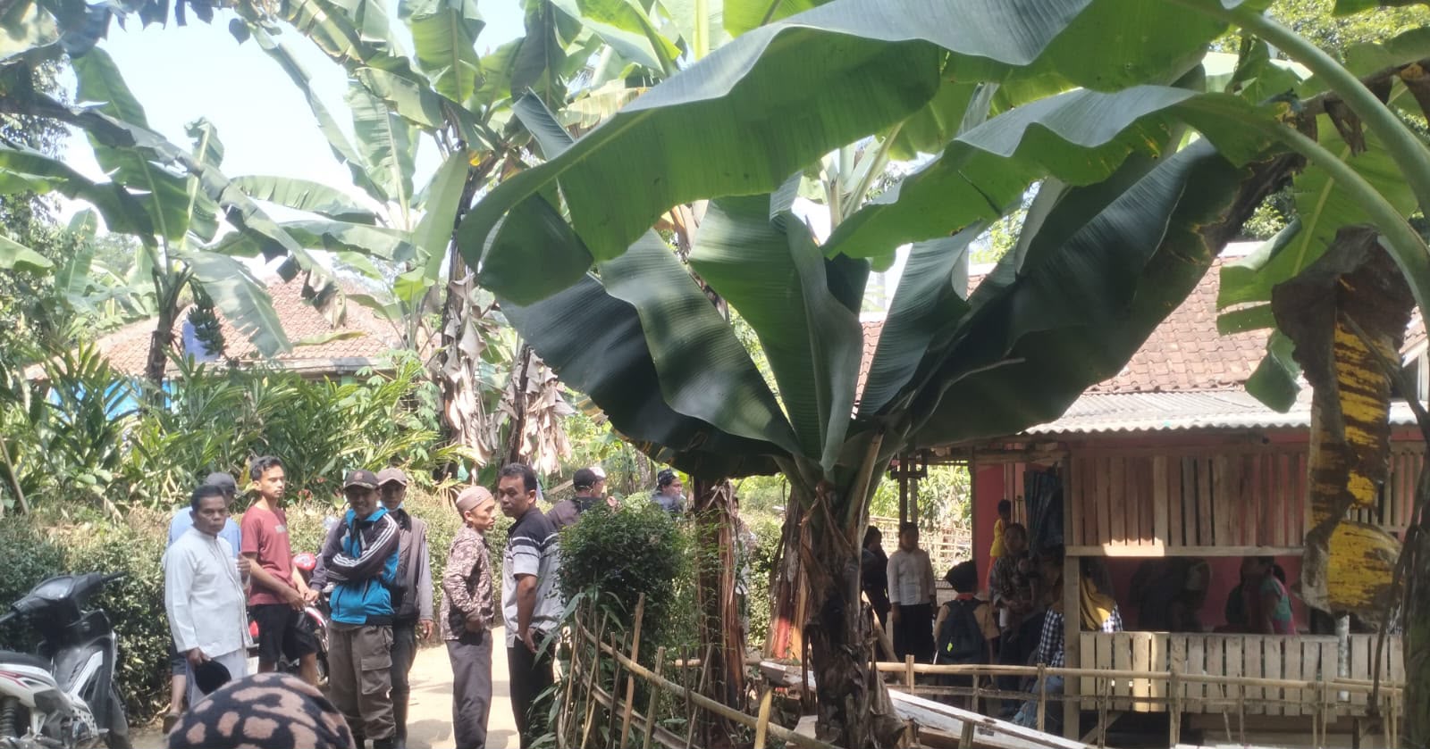 IMG-20260719-WA0018