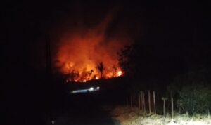 IMG-20260816-WA0008