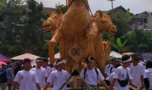 IMG-20260817-WA0071