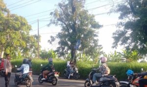 IMG-20260822-WA0022