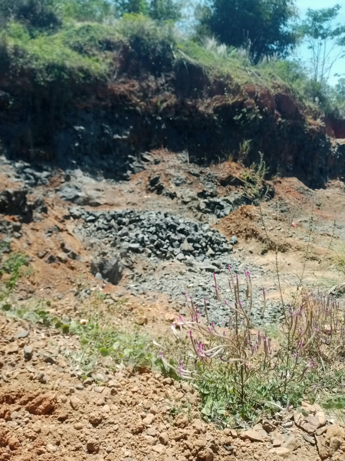 IMG-20260831-WA0040