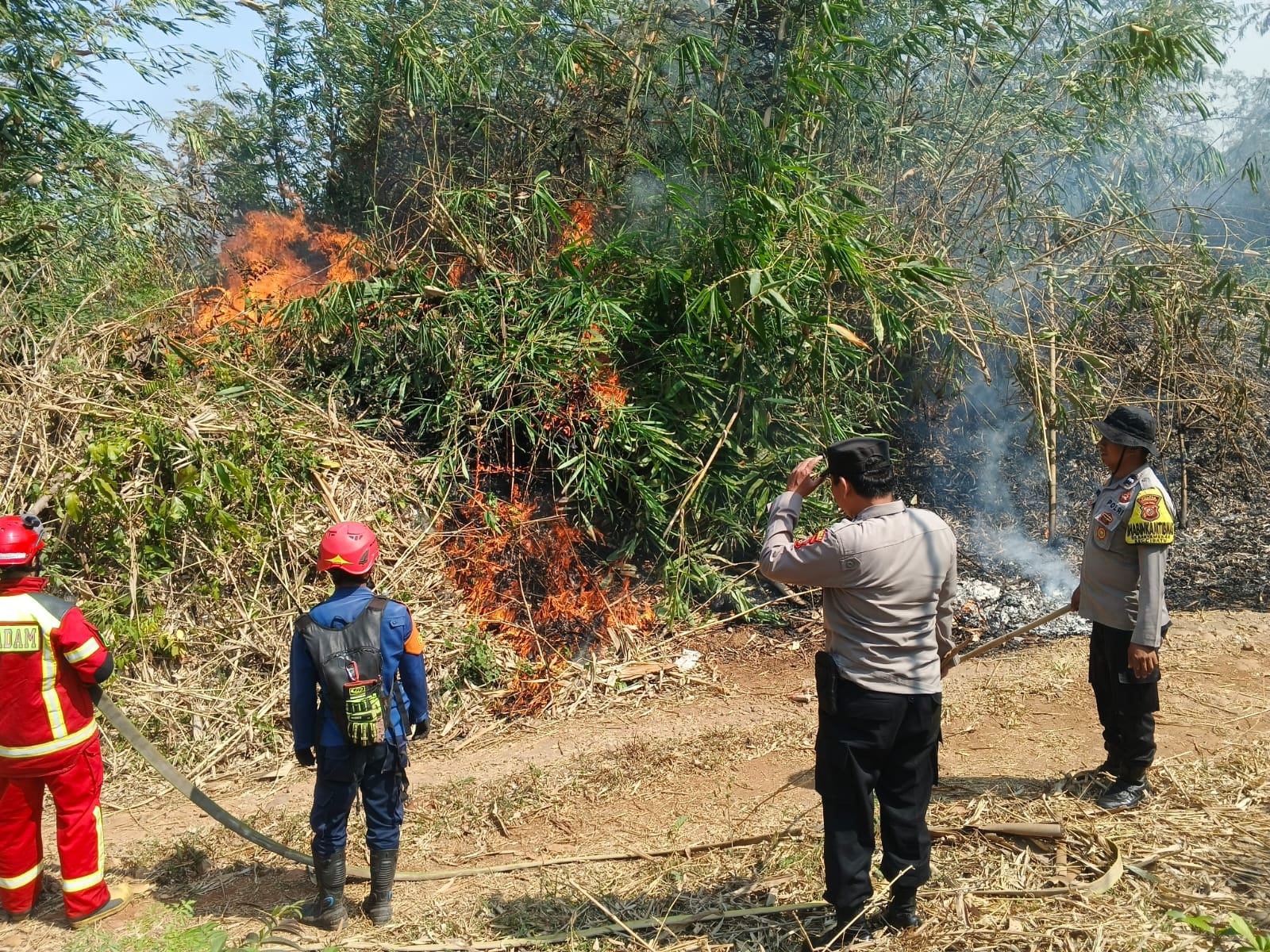 IMG-20260914-WA0080