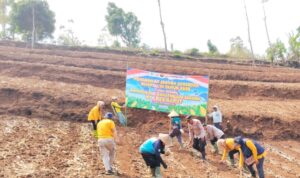 IMG-20260929-WA0074