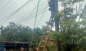 IMG-20261028-WA0119
