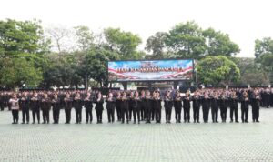 Oplus_131072